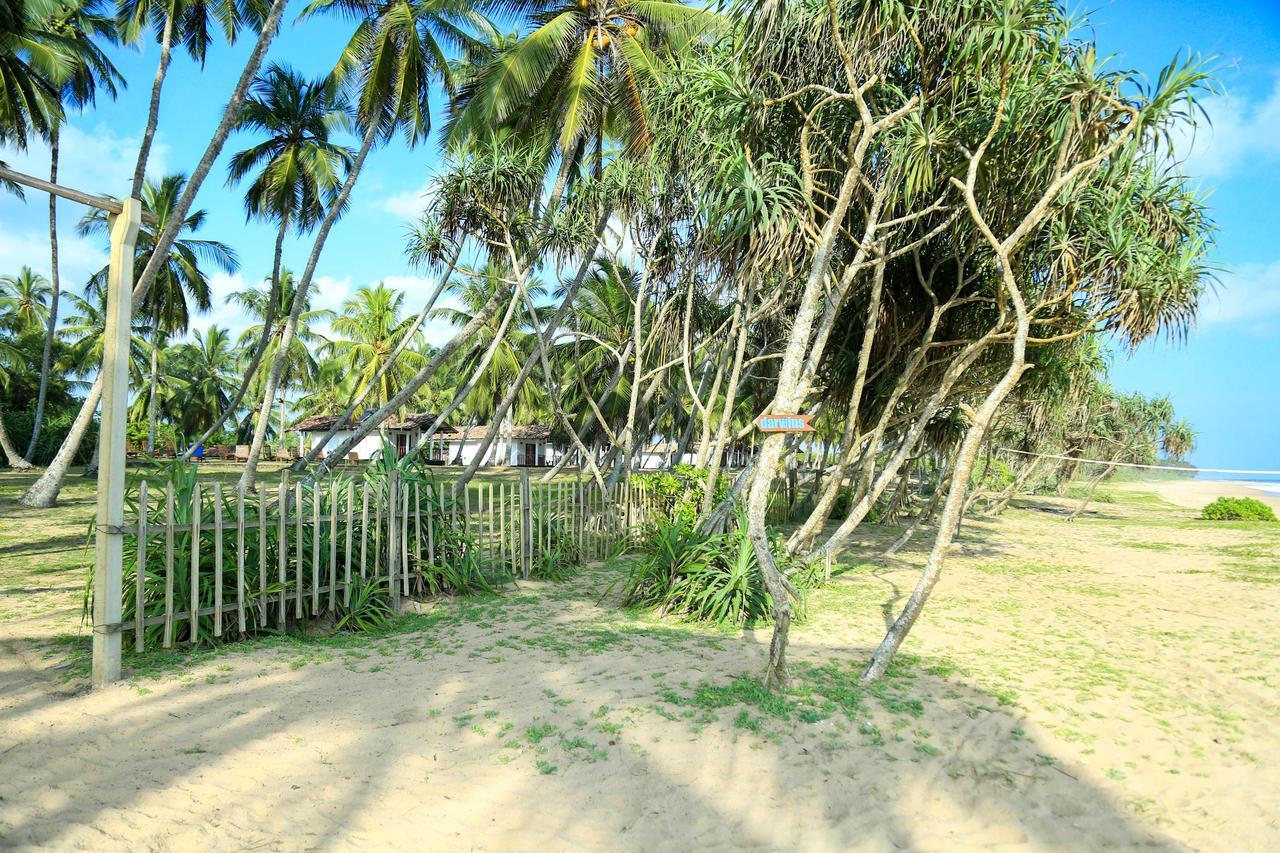 Darwins Beach Resort Тангале Екстериор снимка